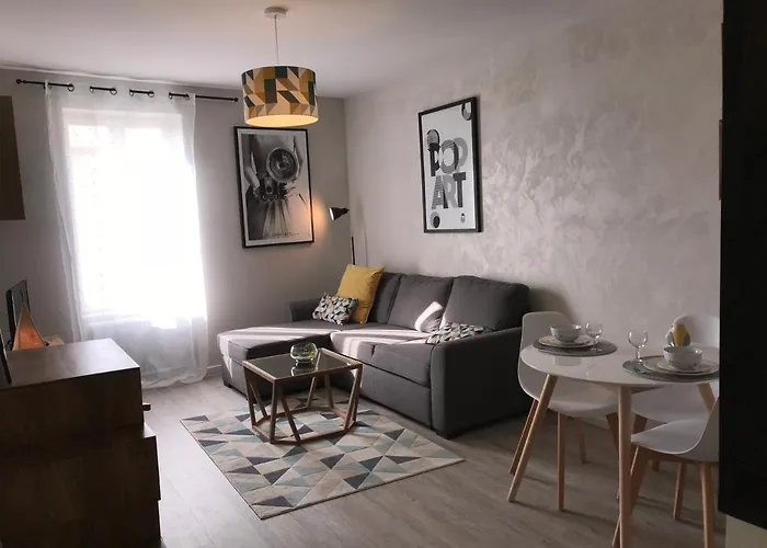 Apartment Contemporain Pont Vieux *