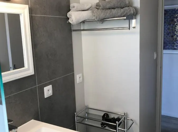 Lejlighed Contemporain Pont Vieux Carcassonne